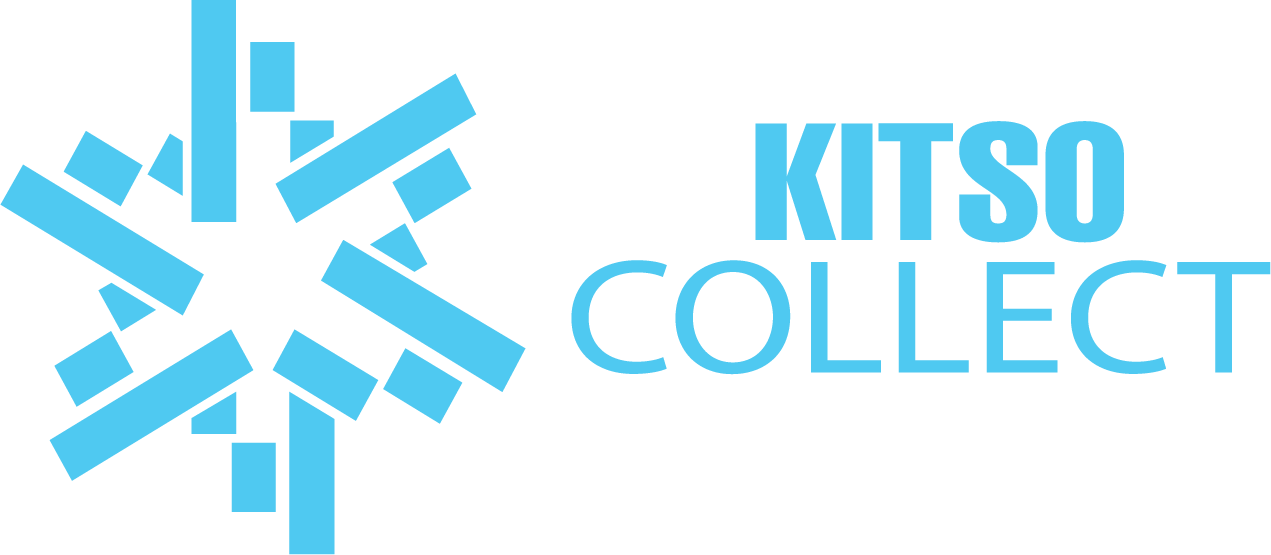 Kitso Rauwe Data Collection & Survey Analytics Platform